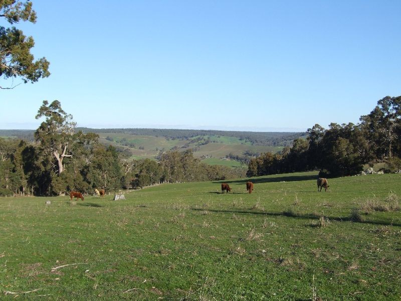 99 Carmichael Rd, Yabberup WA 6239