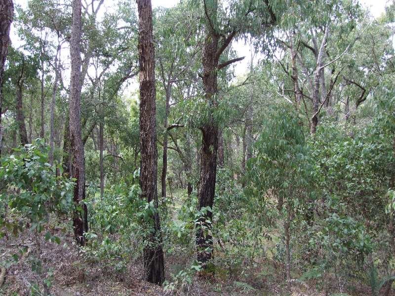 Lot 3,  Nioka Drive, Donnybrook WA 6239