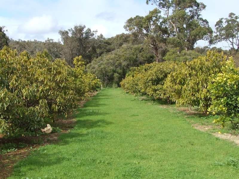 67 Shenton, Boyanup WA 6237