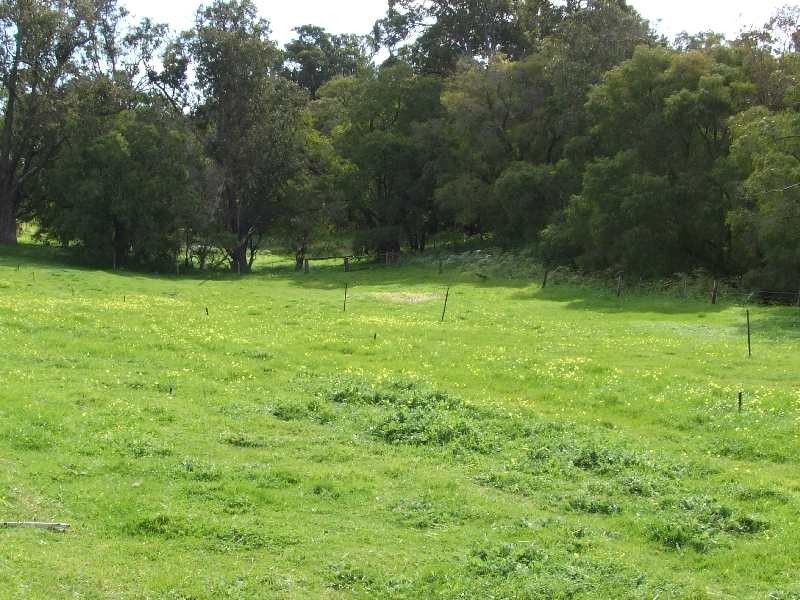 67 Shenton, Boyanup WA 6237