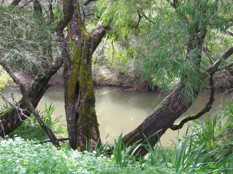 67 Shenton, Boyanup WA 6237