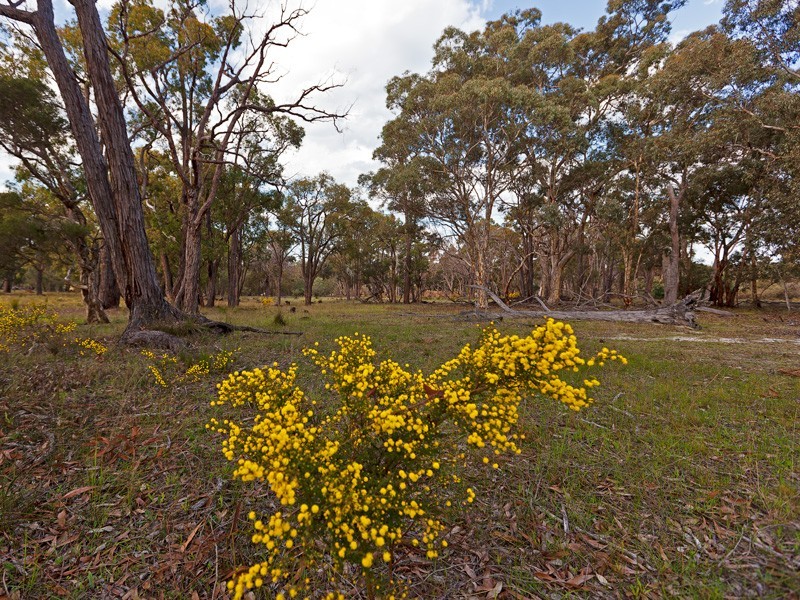 Lot 71 Old Mail Road, Kulikup WA 6244