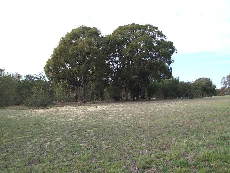 Lot 71 Old Mail Road, Kulikup WA 6244