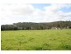 Lot 529,  Donnybrook-Boyup Brook Rd, Donnybrook WA 6239