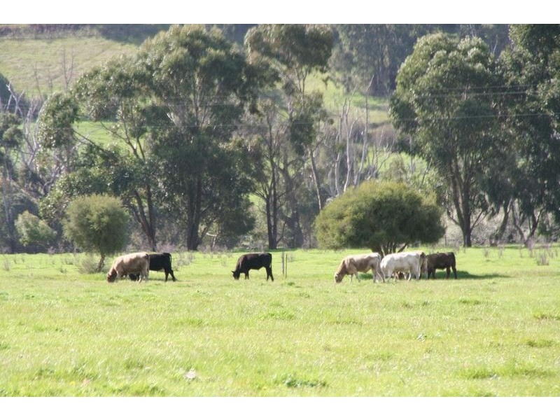 Lot 529,  Donnybrook-Boyup Brook Rd, Donnybrook WA 6239