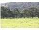 Lot 529,  Donnybrook-Boyup Brook Rd, Donnybrook WA 6239