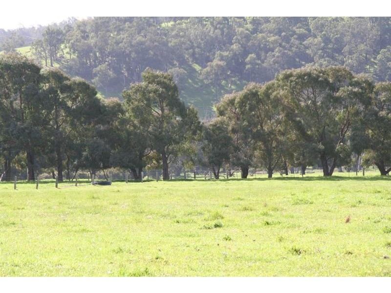 Lot 529,  Donnybrook-Boyup Brook Rd, Donnybrook WA 6239