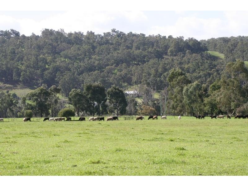 Lot 529,  Donnybrook-Boyup Brook Rd, Donnybrook WA 6239