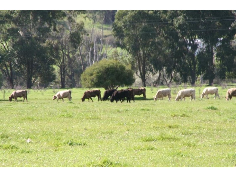 Lot 529,  Donnybrook-Boyup Brook Rd, Donnybrook WA 6239