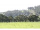 Lot 529,  Donnybrook-Boyup Brook Rd, Donnybrook WA 6239