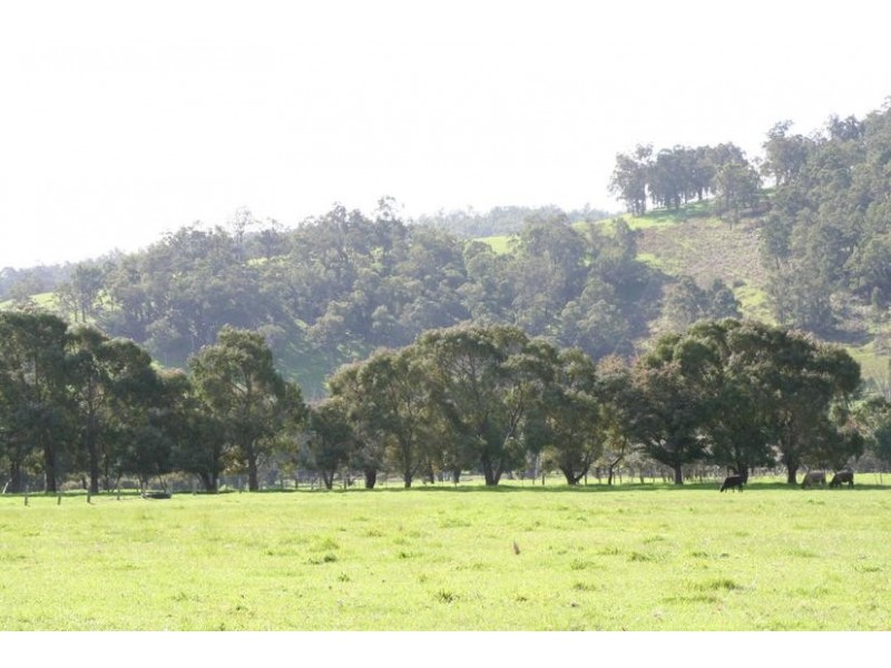 Lot 529,  Donnybrook-Boyup Brook Rd, Donnybrook WA 6239