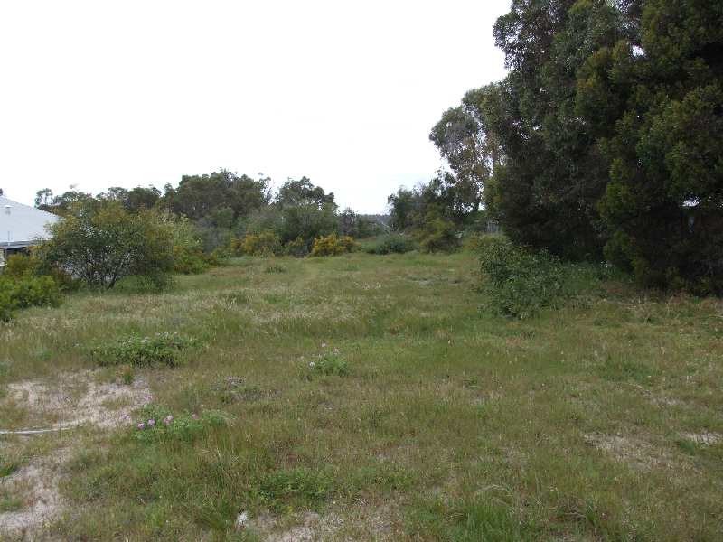 126 Peppermint Grove Tce, Capel WA 6271