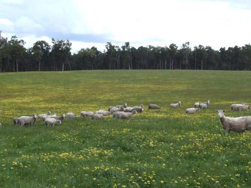 Lot 15,  Hart Road, Cardiff WA 6225