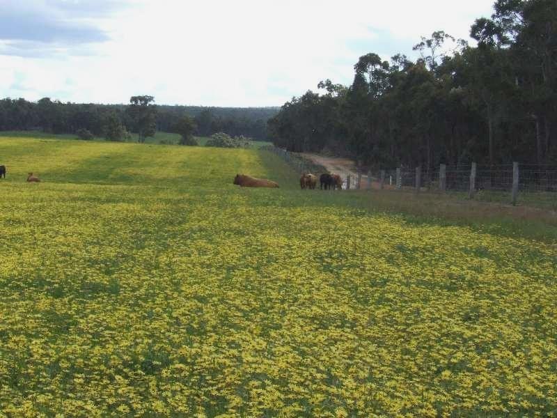 Lot 15,  Hart Road, Cardiff WA 6225