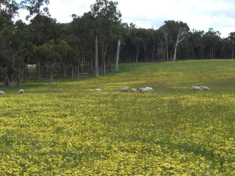 Lot 15,  Hart Road, Cardiff WA 6225