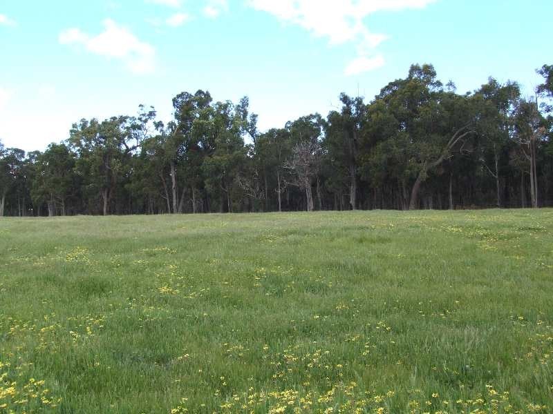 Lot 15,  Hart Road, Cardiff WA 6225