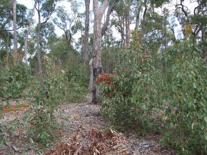 Lot 15,  Hart Road, Cardiff WA 6225