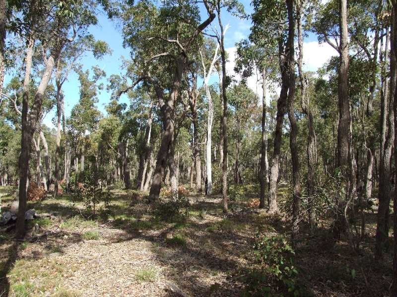 Lot 15,  Hart Road, Cardiff WA 6225