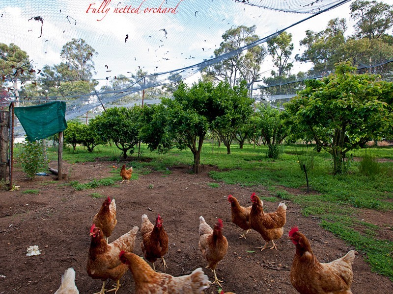 6 Hearle Road, Glen Mervyn, Donnybrook WA 6239