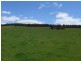 Lot 3,  Price Rd, Donnybrook WA 6239