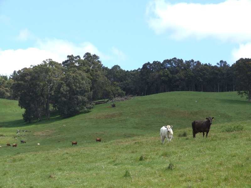 Lot 4,  Price Rd, Donnybrook WA 6239