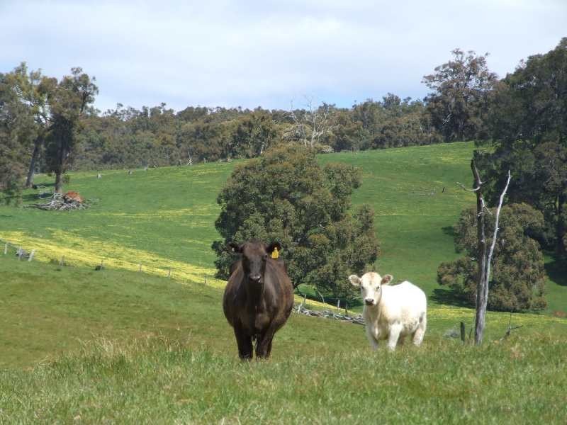 Lot 4,  Price Rd, Donnybrook WA 6239