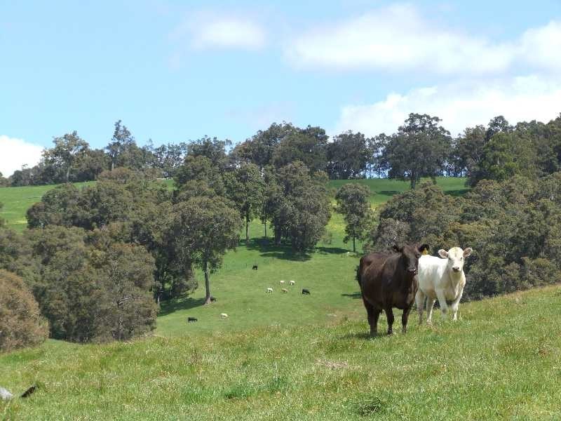 Lot 4,  Price Rd, Donnybrook WA 6239