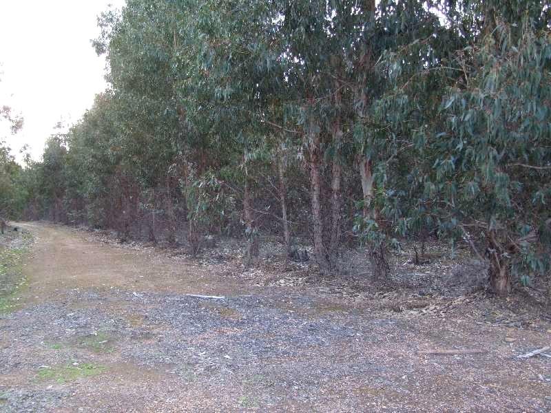 Lot 2347,  Walker Road, Noggerup WA 6225
