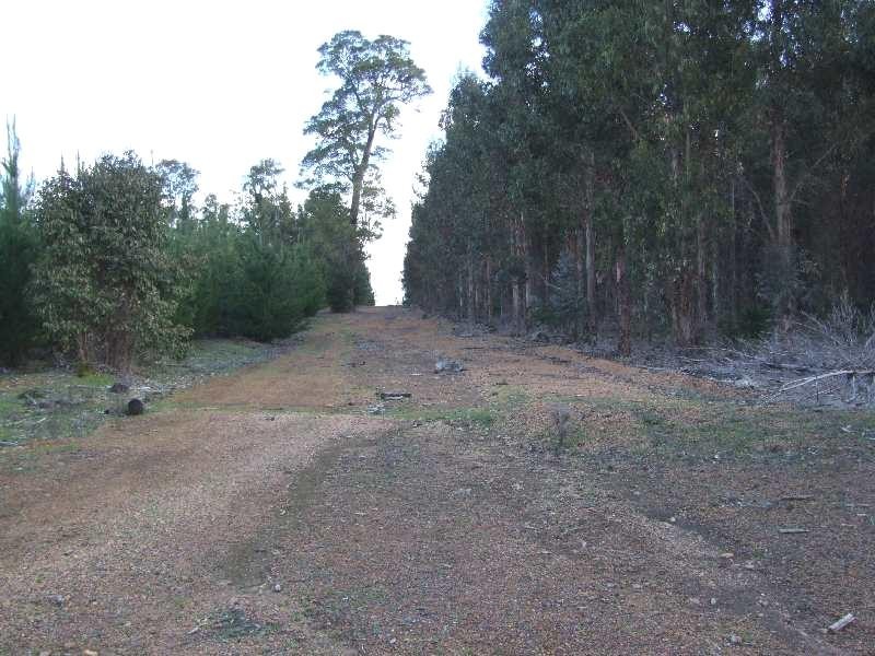Lot 2347,  Walker Road, Noggerup WA 6225
