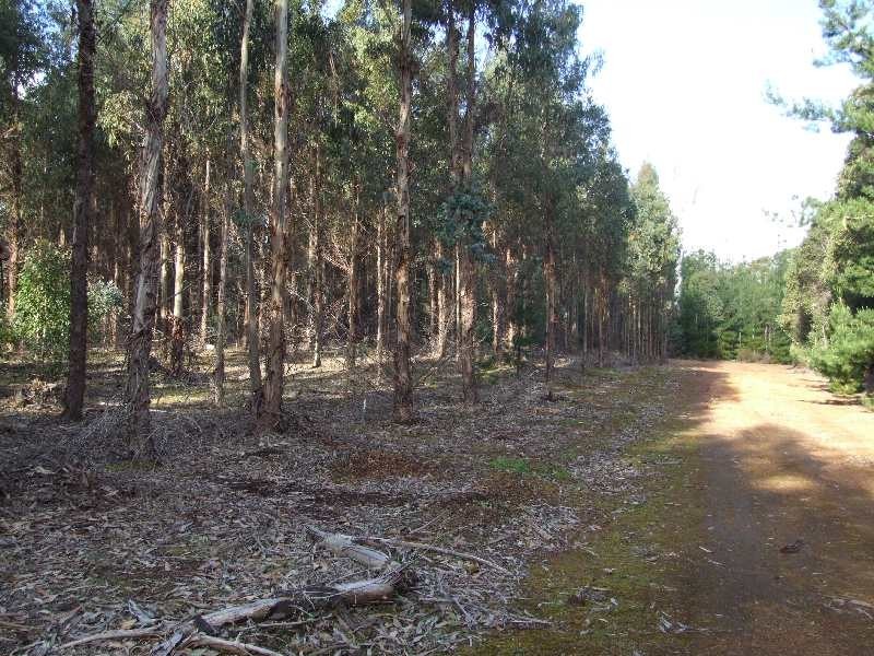 Lot 2347,  Walker Road, Noggerup WA 6225