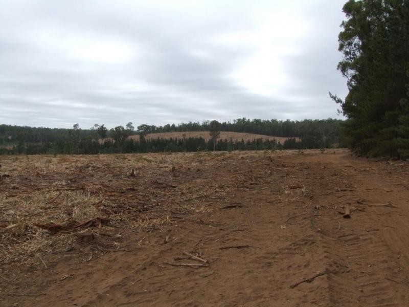 Lot 2347,  Walker Road, Noggerup WA 6225