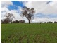 Lot 720 – 721,  Bridgetown – Boyup Brook Road, Boyup Brook WA 6244