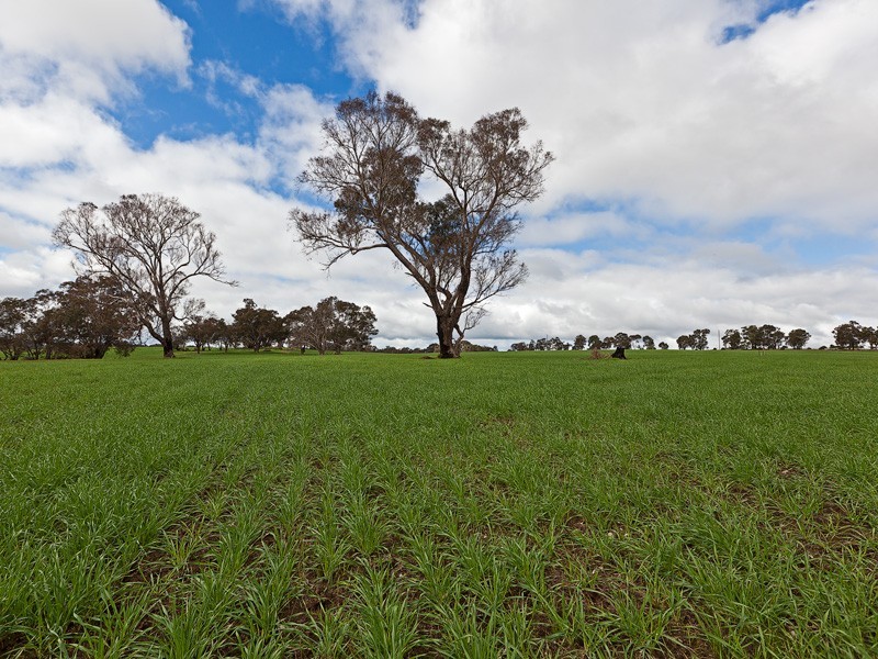 Lot 720 – 721,  Bridgetown – Boyup Brook Road, Boyup Brook WA 6244