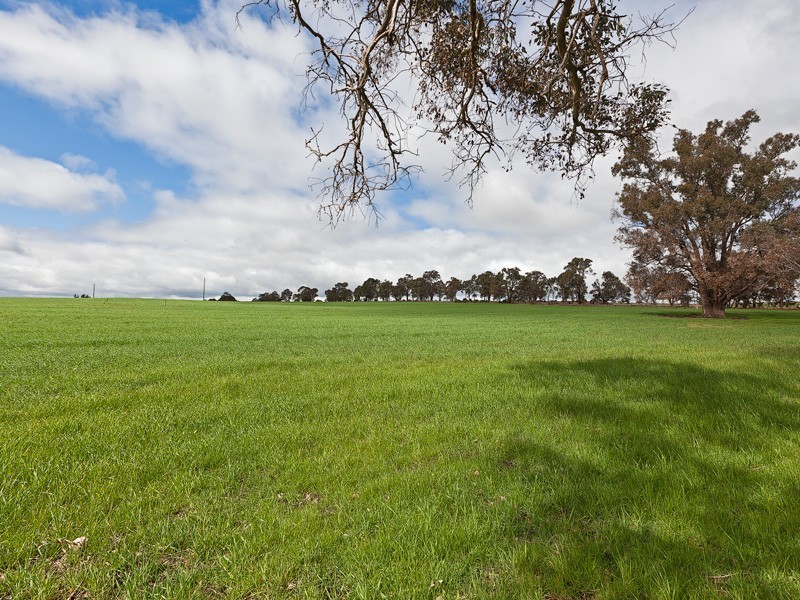 Lot 720 – 721,  Bridgetown – Boyup Brook Road, Boyup Brook WA 6244