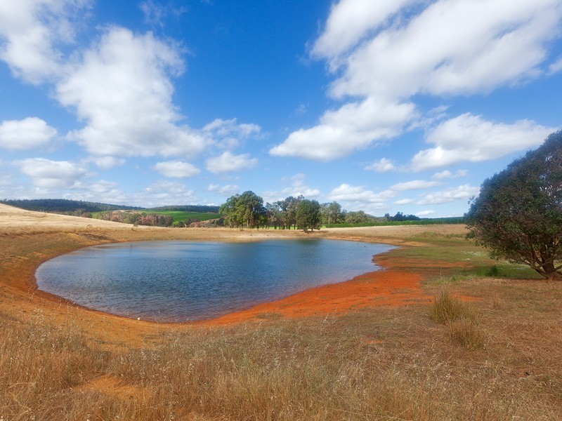 55 Martin Place, Mullalyup WA 6252