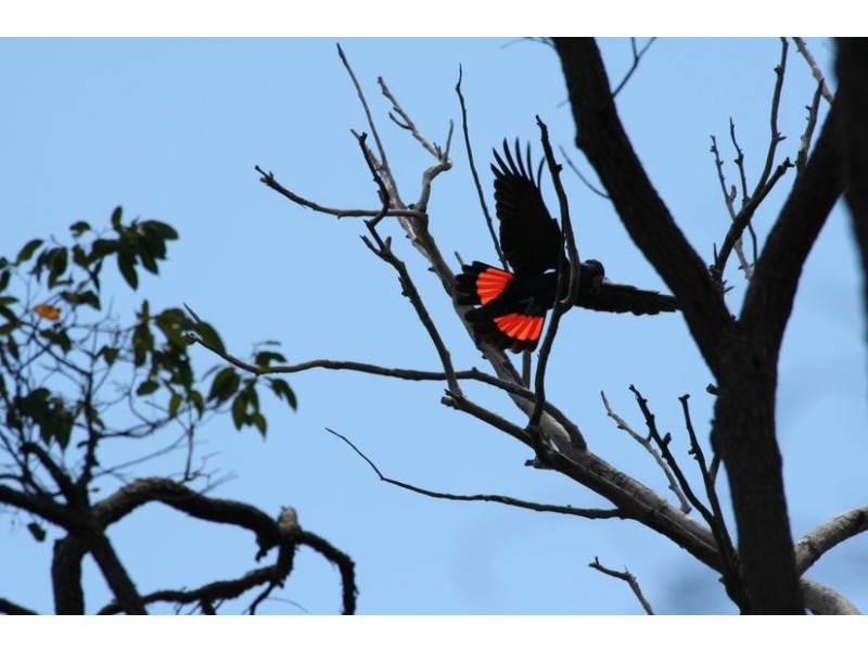 107 Meotti Road, Donnybrook WA 6239