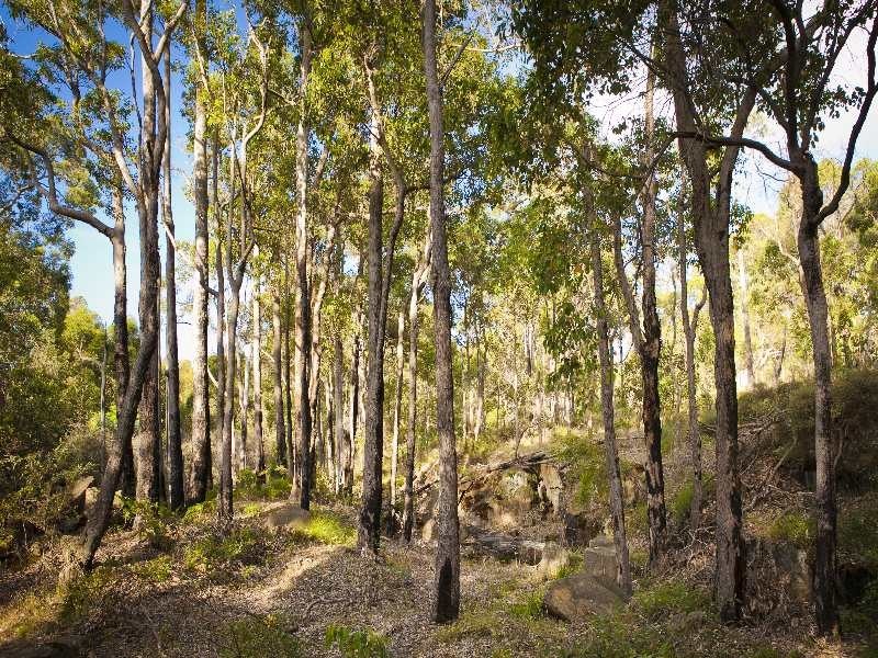 107 Meotti Road, Donnybrook WA 6239