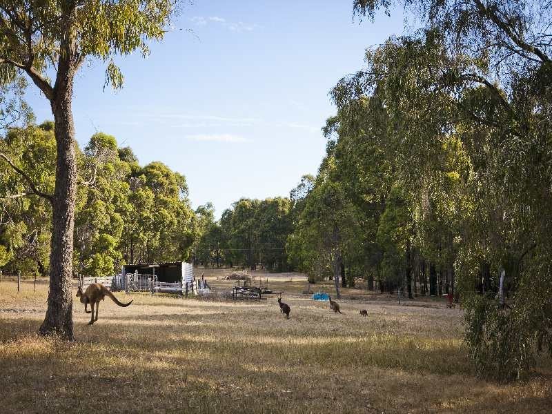 107 Meotti Road, Donnybrook WA 6239