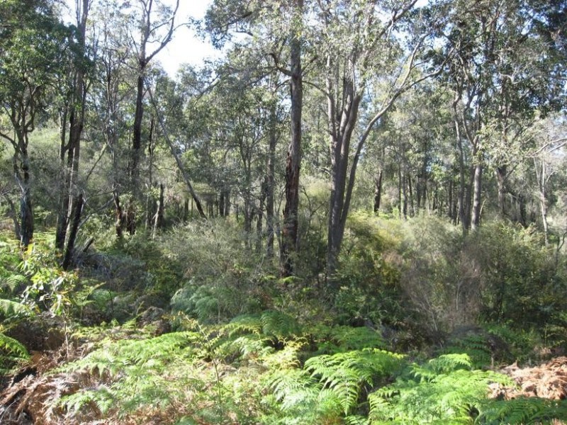 107 Meotti Road, Donnybrook WA 6239