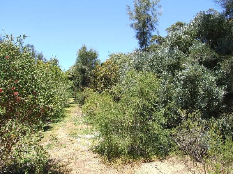 1787 Donnybrook-Boyup Brook Road, Donnybrook WA 6239