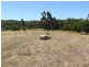 1787 Donnybrook-Boyup Brook Road, Donnybrook WA 6239