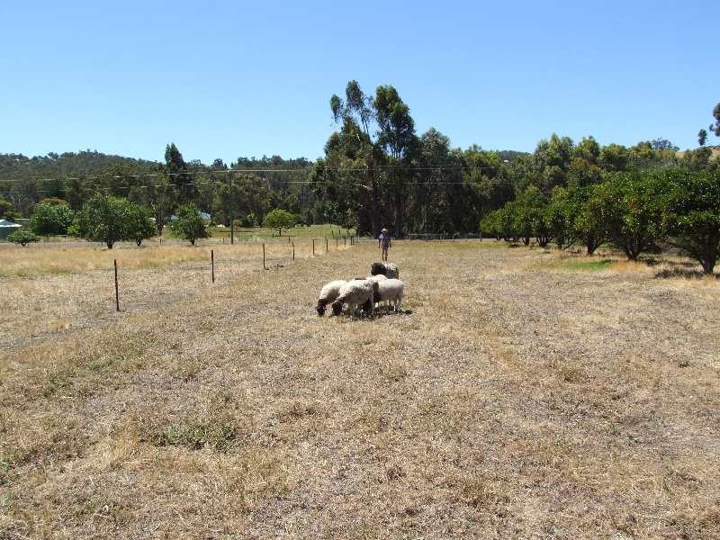 1787 Donnybrook-Boyup Brook Road, Donnybrook WA 6239
