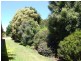 1787 Donnybrook-Boyup Brook Road, Donnybrook WA 6239