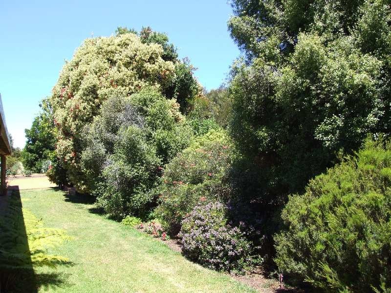 1787 Donnybrook-Boyup Brook Road, Donnybrook WA 6239