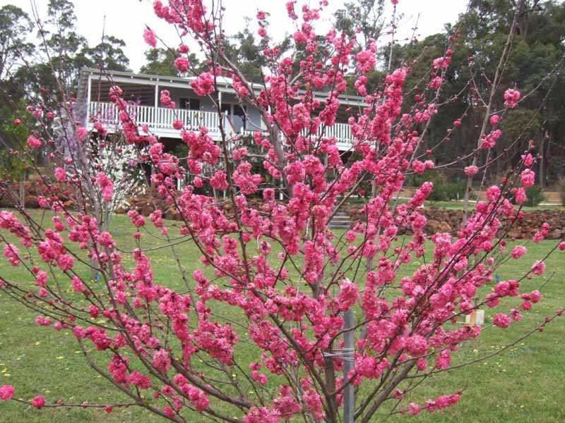 317 Hetherington Road, Donnybrook WA 6239