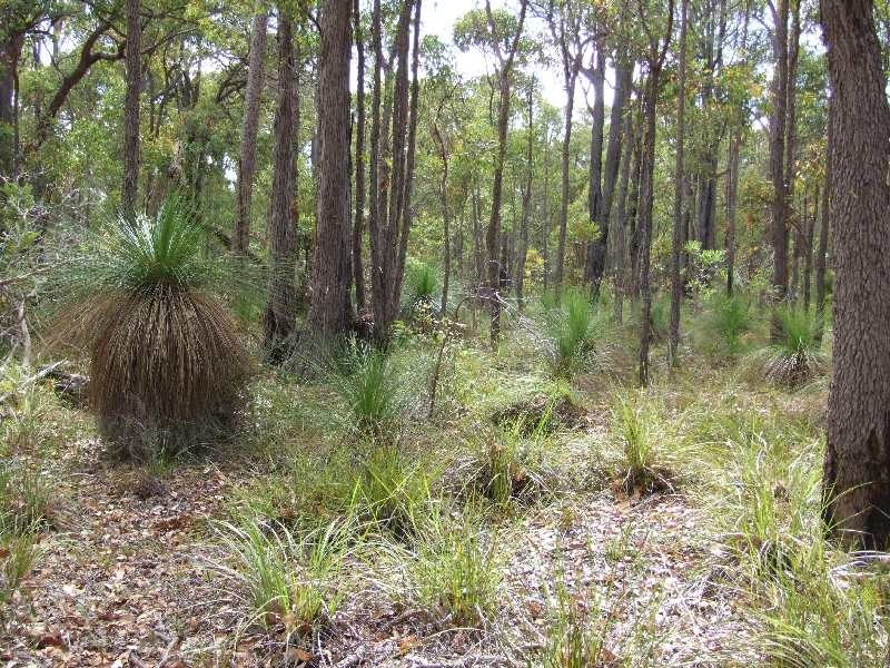 Lot 5,  Irishtown Road, Donnybrook WA 6239