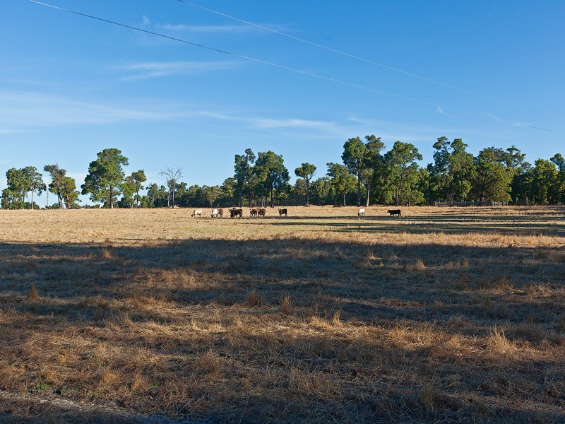 2346 Goodwood Road Paynedale, Donnybrook WA 6239