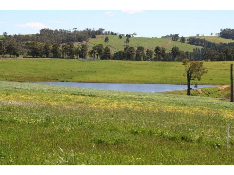 Beelerup Road, Donnybrook WA 6239