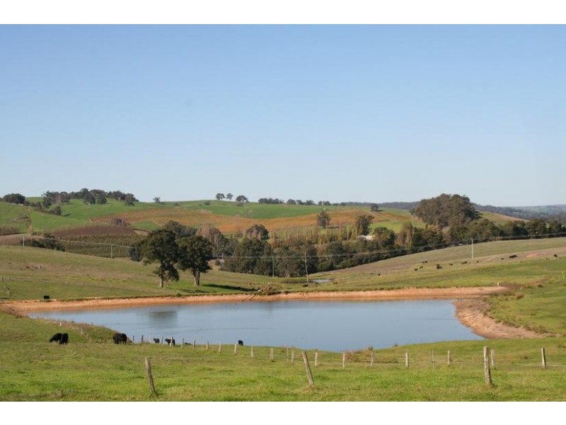 Beelerup Road, Donnybrook WA 6239