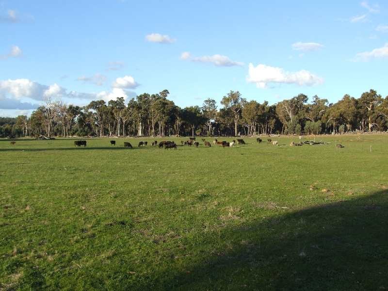 Lot 3721,  Chapman road, Mcalinden WA 6225